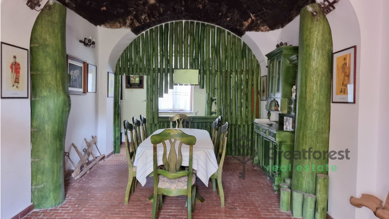 Balmazújváros, house  