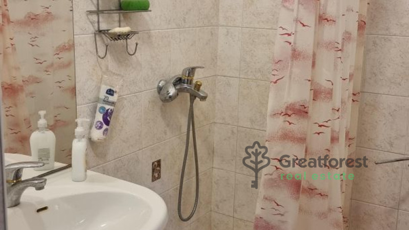 Balmazújváros, house  