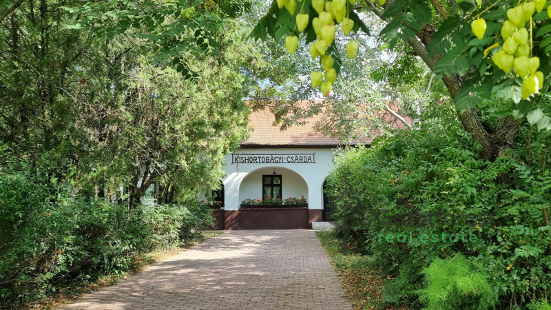 Balmazújváros, house  