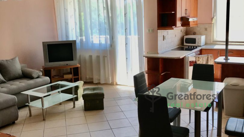 Debrecen, Main Campus Area, flat  