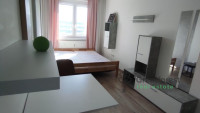 Debrecen, Close To Main Campus Agricult. Unversity, block of flats  