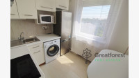 Debrecen, Close To Main Campus Agricult. Unversity, block of flats  