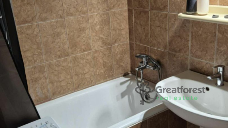 Debrecen, Greatforest Area, flat  