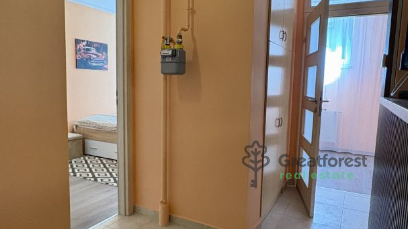 Debrecen, Close To Main Campus, flat  
