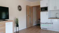 Debrecen, flat  