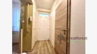 Debrecen, City East, flat  