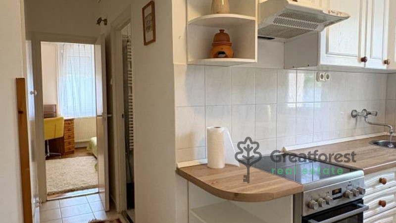 Debrecen, Greatforest Area, flat  