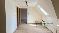 Debrecen, Close To Plaza, family house  