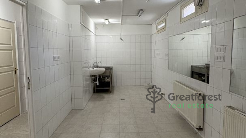 Debrecen, Close To City Center, commercial premises not in shopping center  