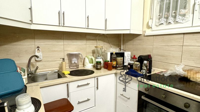 Debrecen, Close To Main Campus Agricult. Unversity, block of flats  