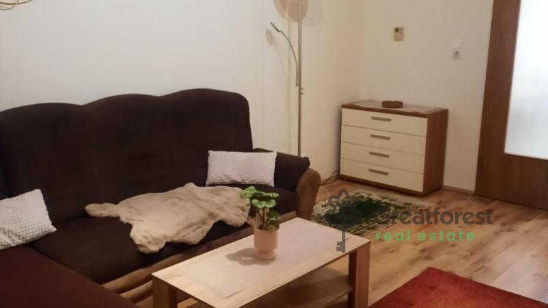 Debrecen, flat  