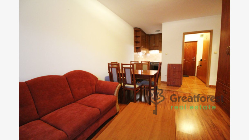 Debrecen, Close To Main Campus, flat  