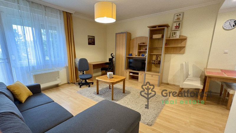 Debrecen, Close To Main Campus, flat  