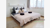 Debrecen, Close To Main Campus, flat  