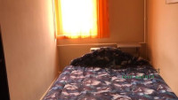 Debrecen, Close To Main Campus, flat  