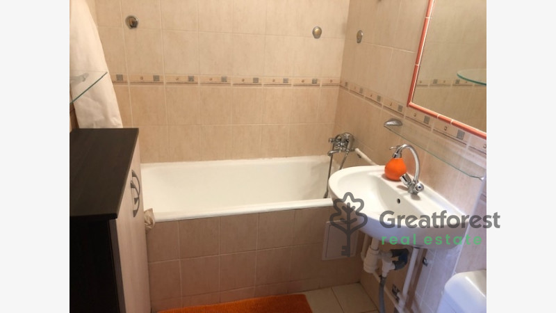 Debrecen, Close To Main Campus, flat  