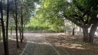 Debrecen, Close To Main Campus, flat  