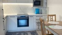 Debrecen, City Center, flat  