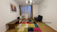 Debrecen, Close To Main Campus, flat  