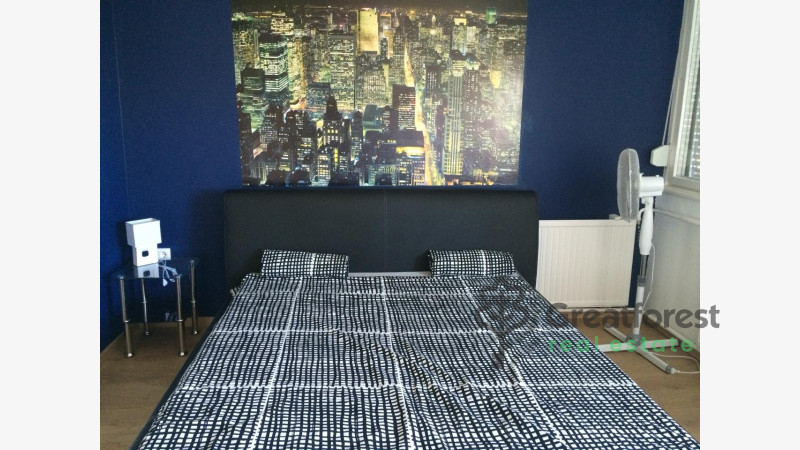 Debrecen, Close To Main Campus, flat  