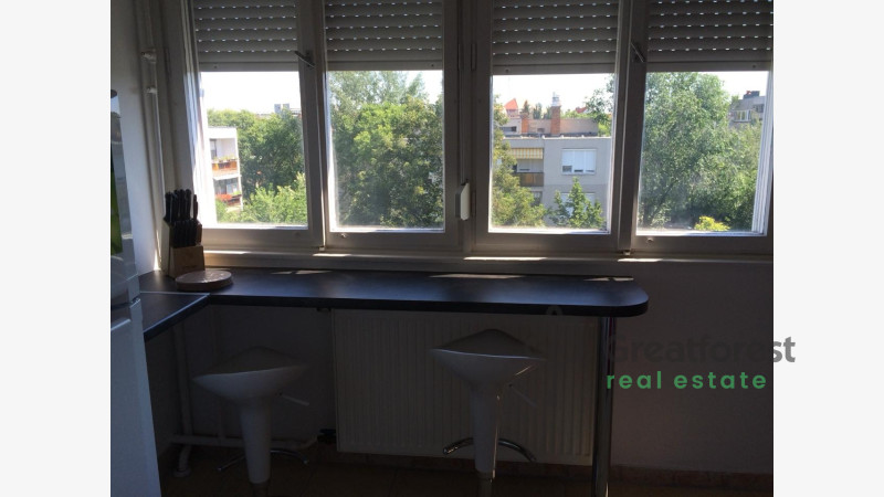 Debrecen, Close To Main Campus, flat  