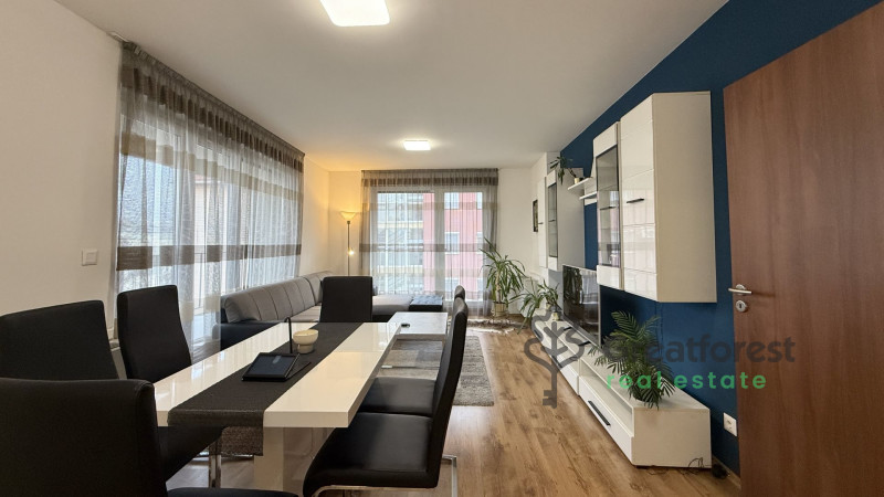 Debrecen, Close To Main Campus, flat  