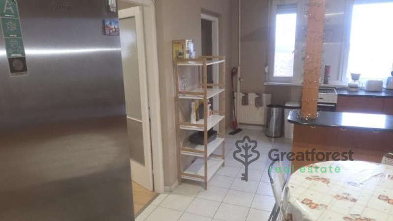 Debrecen, Close To Main Campus Agricult. Unversity, block of flats  