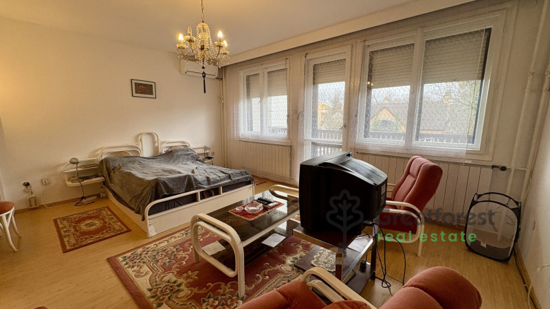 Debrecen, Greatforest Area, attached house  