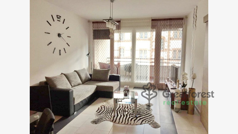 Debrecen, Close To Plaza, flat  