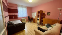 Debrecen, Close To Main Campus, flat  