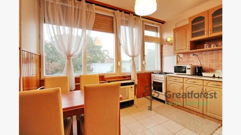 Debrecen, Greatforest Area, flat  