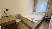 Debrecen, Close To Main Campus, flat  