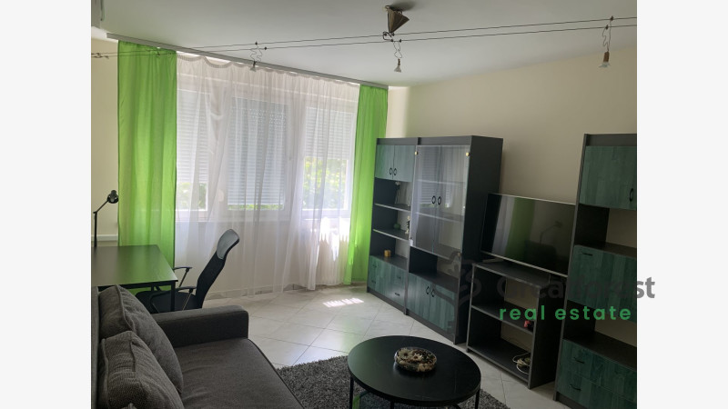 Debrecen, Close To Main Campus, flat  