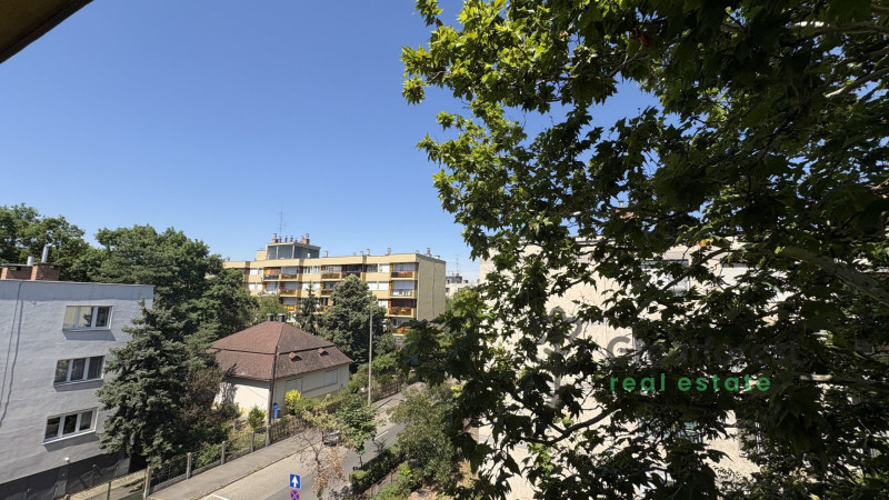 Debrecen, Close To Main Campus, flat  