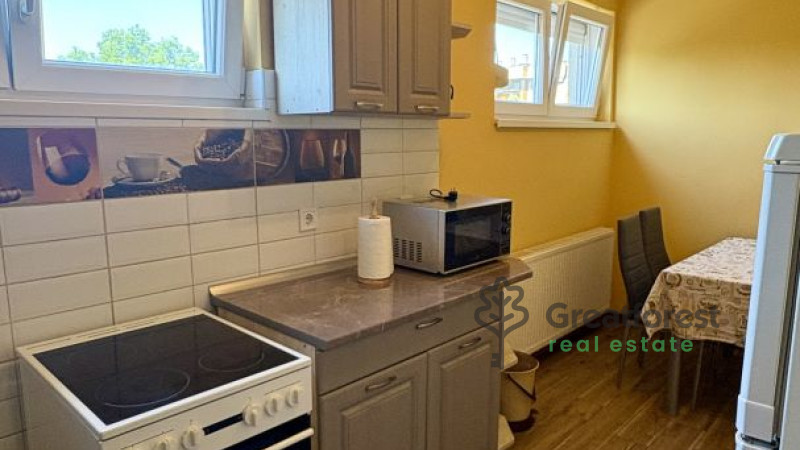 Debrecen, Close To Main Campus, flat  