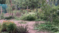 Debrecen, Kassai Campus Area, family house  