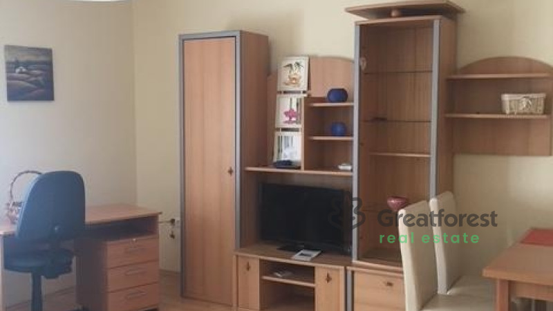 Debrecen, Close To Main Campus, flat  