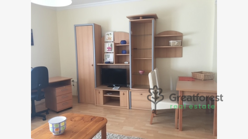 Debrecen, Close To Main Campus, flat  