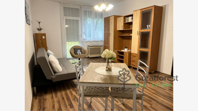 Debrecen, Kassai Campus Area, flat  