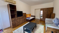 Debrecen, Close To Main Campus, flat  