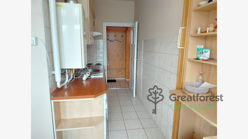 Debrecen, Greatforest Area, flat  