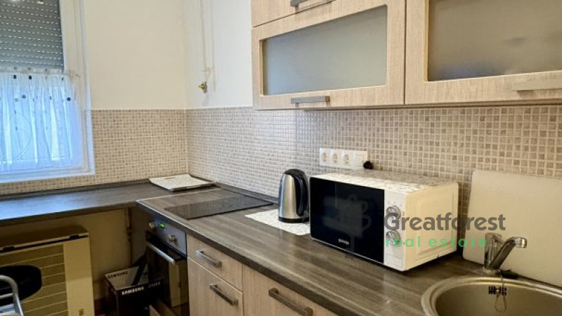 Debrecen, Close To Main Campus, flat  