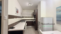 Debrecen, Close To Plaza, flat  