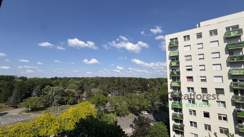Debrecen, Close To Main Campus Agricult. Unversity, block of flats  