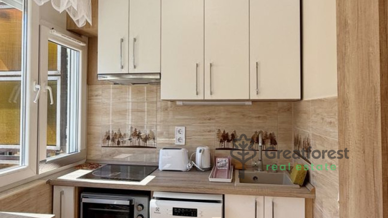 Debrecen, Close To Main Campus, flat  