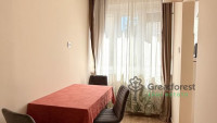 Debrecen, Close To Main Campus, flat  