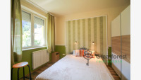 Debrecen, Greatforest Area, flat  