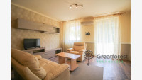 Debrecen, Greatforest Area, flat  