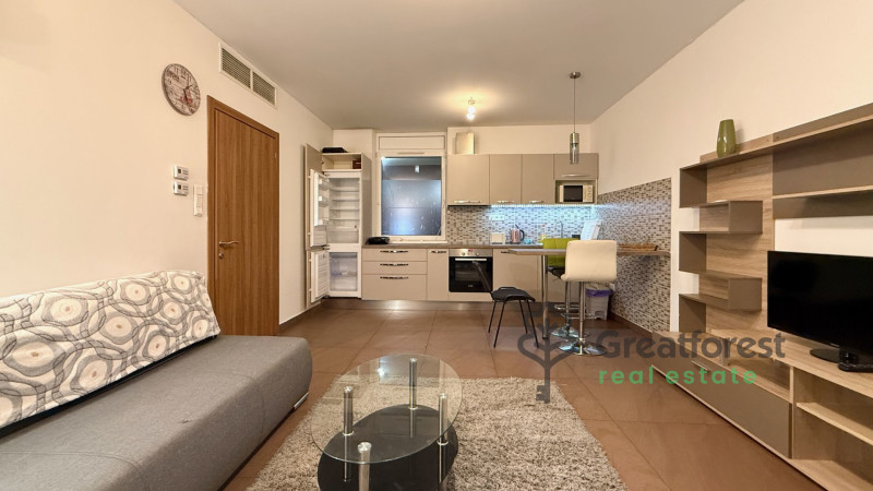 Debrecen, City Center, flat  