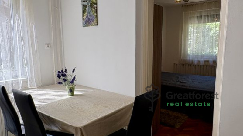 Debrecen, Close To Main Campus, flat  